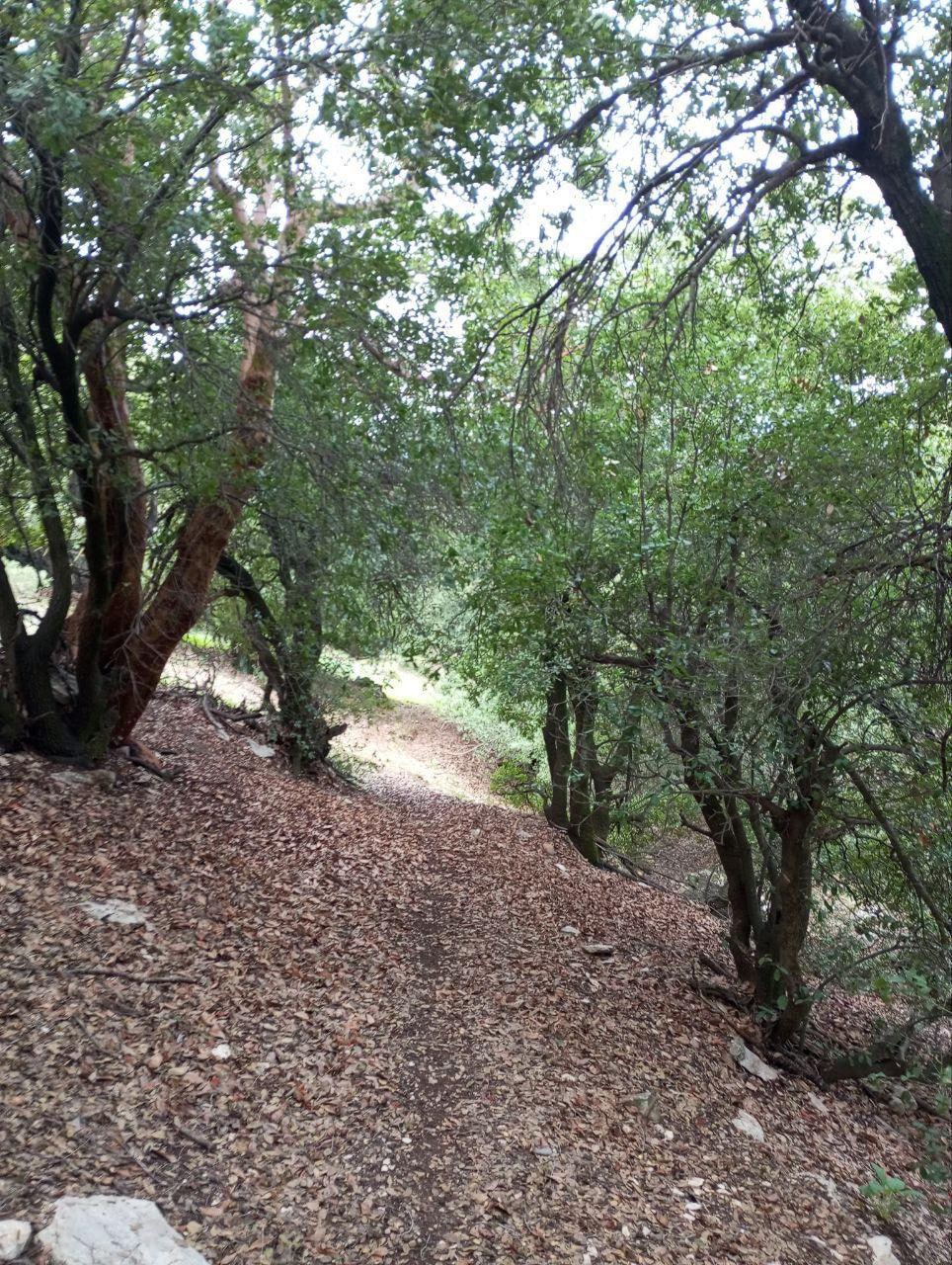 تلفريك عجلون مسار الجُـــب السفلي